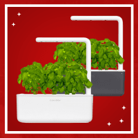 The cultivation of the future - indoors