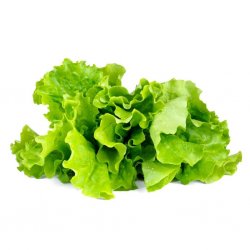 Smart Garden Refill 3-pack - Green Lettuce