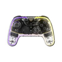 Nintendo Switch Controller Transparent RGB