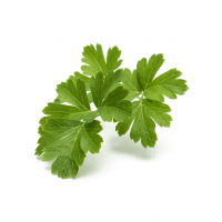 Smart Garden Refill 3-pack - Plain Parsley