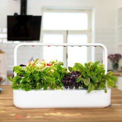 Smart Garden 9 Start Kit White