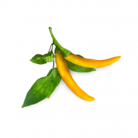 Smart Garden Refill 3-pack - Yellow Chili Pepper