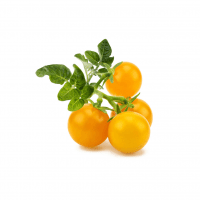 Smart Garden Refill 3-pack - Yellow tomato