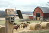 Talon Pro Camovue 4K 4G Wildlife Camera