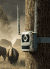 Talon Pro Camovue 4K 4G Wildlife Camera