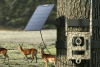 Talon Pro Camovue 4K 4G Wildlife Camera