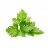 Smart Garden Refill 3-pack - Cilantro/Coriander