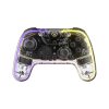 Nintendo Switch Controller Transparent RGB