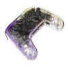 Nintendo Switch Controller Transparent RGB