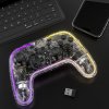 Nintendo Switch Controller Transparent RGB
