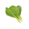 Smart Garden Refill 3-pack - Pak choi
