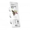 Smart Garden Refill 3-pack - Polka Dot Plant