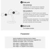 SnapBranch Creative Version Black