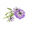 Smart Garden Refill 3-pack - Sweet Alyssum