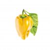 Smart Garden Refill 3-pack - Yellow Sweet Peppers