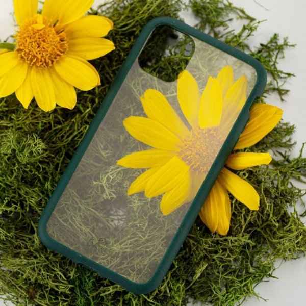 iPhone 11 Case Eco Friendly Clear Green