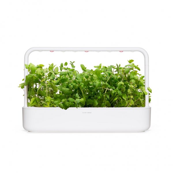 Smart Garden Refill 3-pack - Apple Mint