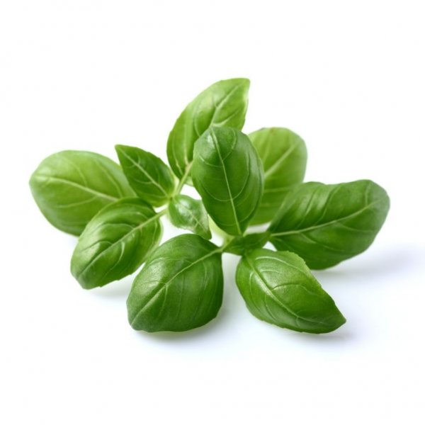 Smart Garden Refill 3-pack - Basil