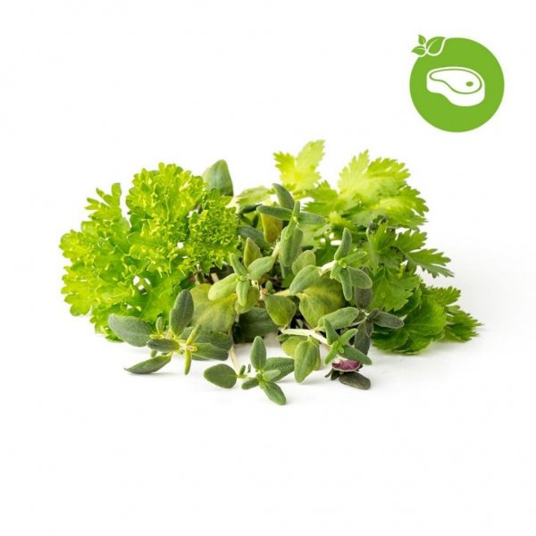 Smart Garden Refill 9-pack Grill & Steak Mix