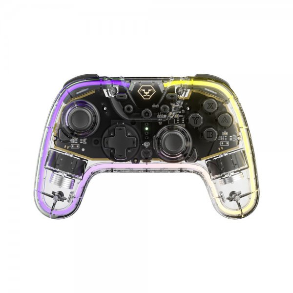 Nintendo Switch Controller Transparent RGB