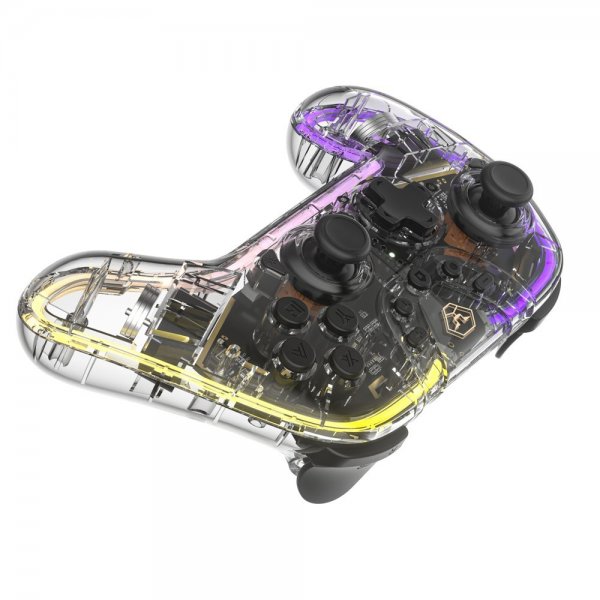 Nintendo Switch Controller Transparent RGB