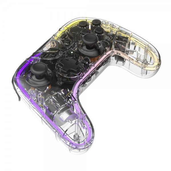 Nintendo Switch Controller Transparent RGB