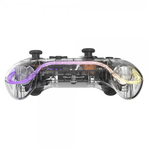 Nintendo Switch Controller Transparent RGB