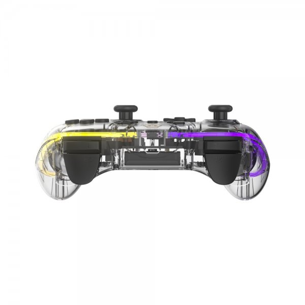 Nintendo Switch Controller Transparent RGB