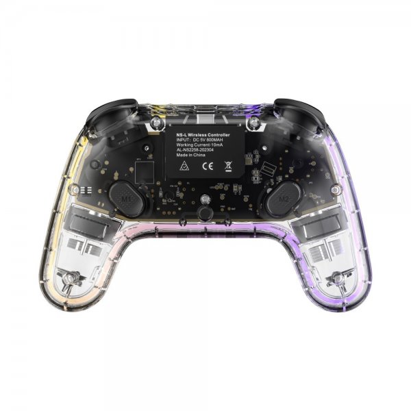 Nintendo Switch Controller Transparent RGB
