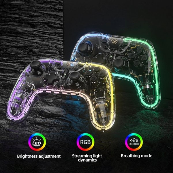 Nintendo Switch Controller Transparent RGB
