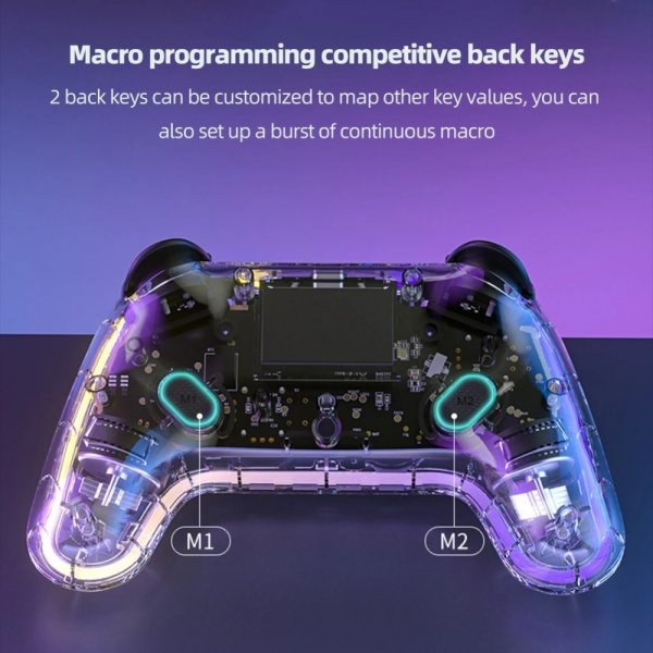 Nintendo Switch Controller Transparent RGB