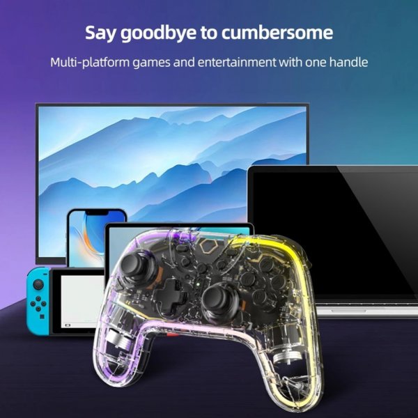 Nintendo Switch Controller Transparent RGB