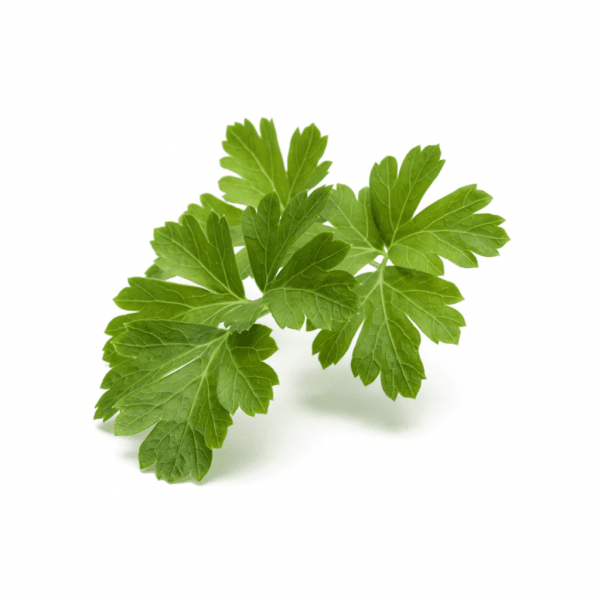 Smart Garden Refill 3-pack - Plain Parsley