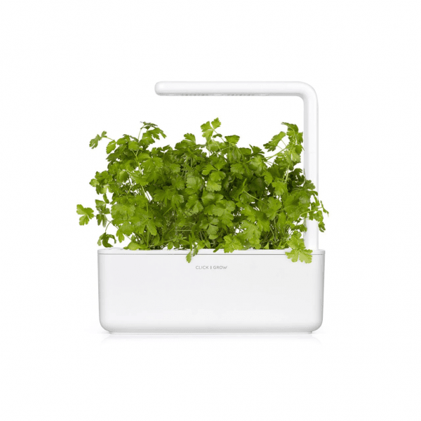 Smart Garden Refill 3-pack - Plain Parsley