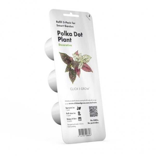Smart Garden Refill 3-pack - Polka Dot Plant