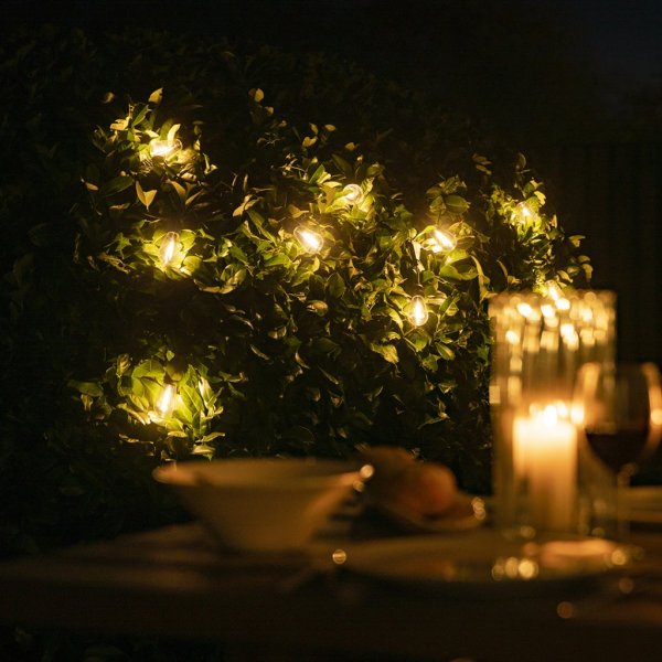 Smart String Lights - Vintage Edison