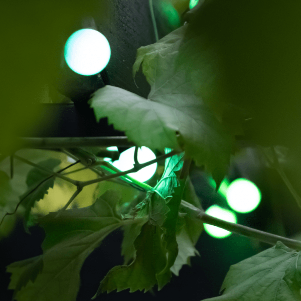 Smart String Lights - Globe 3 cm