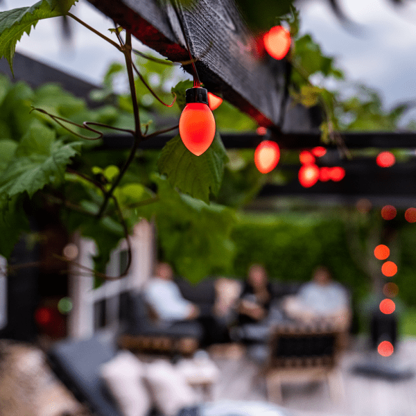 Smart String Lights - Oval Globe