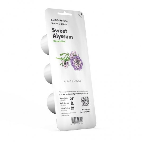 Smart Garden Refill 3-pack - Sweet Alyssum